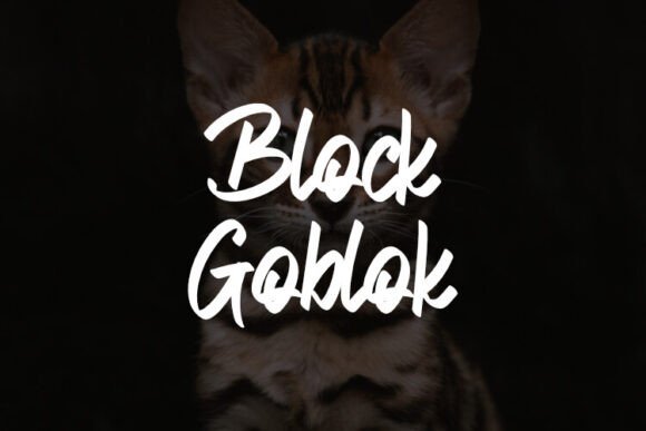 A Designer's Honest Review of the Block Goblok Font