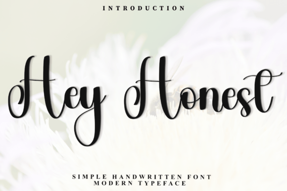 How the Hey Honest Font Can Define Your Brand’s Seasonal Magic